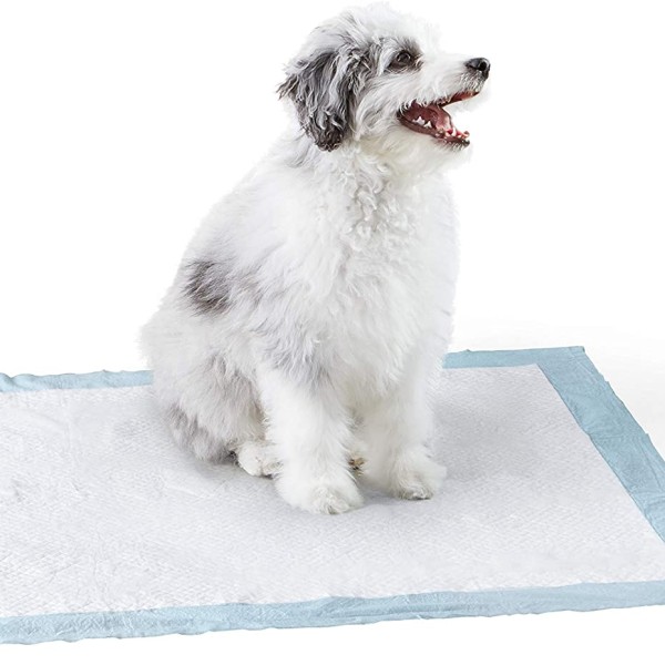 Pet Training Pads OEM - Wholesale Heavy Duty Absorbency