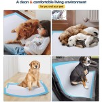 Pet Training Pads OEM - Wholesale Heavy Duty Absorbency