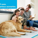 狗狗训练垫代工 - 加厚无味可定制重量