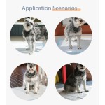 竹炭宠物尿垫 - 柔软透气厂家直供