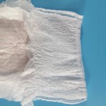 Women Sanitary Pants - Overnight Panty Like Underwear