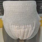 Sanitary Panties Factory - Leak Proof Eco Friendly Mesh