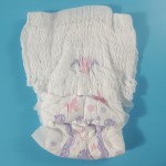 Women Diaper Pants Factory - Disposable Period Underwear