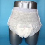 成人拉拉裤 - 一次性失禁护理裤