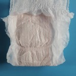 Women Sanitary Pants - Overnight Panty Like Underwear