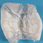 Pet Training Underpad - Disposable Odor Absorption Waterproof