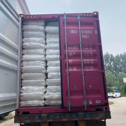 Adult Diaper Factory - OEM ODM Customized High Absorbency Japan SAP