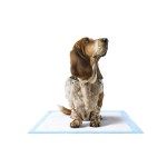 宠物尿垫工厂 - 无纺布除臭材质