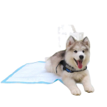 狗狗训练垫代工 - 加厚无味可定制重量