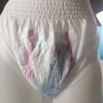 Women Diaper Pants Factory - Disposable Period Underwear