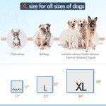 Pet Training Pads OEM - Wholesale Heavy Duty Absorbency