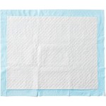 Pet Training Pads OEM - Wholesale Heavy Duty Absorbency