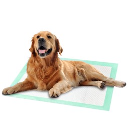 Pet Pads Factory - OEM Custom Dog Training Pee Pads Customizable