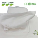 成人湿巾工厂 - 可定制带盖身体清洁湿巾