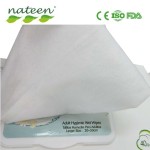 成人湿巾工厂 - 可定制带盖身体清洁湿巾