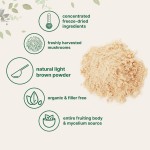 Lion's Mane Mushroom Powder Natural Polysaccharides Organic Lion's Mane Mushroom Extract 10:1 Supplement OEM Package