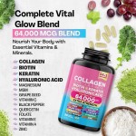 Private Label Package Collagen Capsules Nutrition Support 14 in 1 Supplement for Skin Joint Hair and Nail with Grape Seed