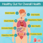 Provide Oem Package Wholesale Price Probiotics for Men Tablets boost Immune System for Male Health