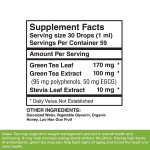 Green Tea Drops 60 ml  Liquid Green Tea Support in Weight Management  Food Grade Energy Supplement OEM Package