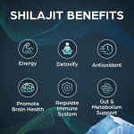 Private Brand Shilajit Resin Pure Himalayan Organic Health Supplement Shilajit Extract 50g shilajit gold resin