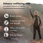 Paper Tube Package Shilajit Gummies Boost Energy with Ashwagandha Pure Himalayan 60 Gummies Per Tube Individually Wrapped