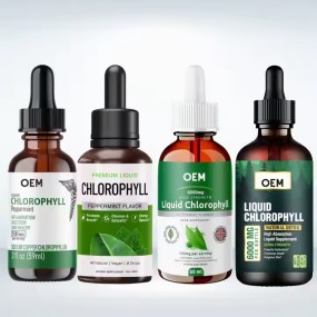 OEM私人标签批发补充液体叶绿素滴