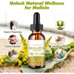 OEM Package Mullein Extract Liquid Drops for Lung Cleanse and Detox Respiratory Drops Health Supplement Vegan
