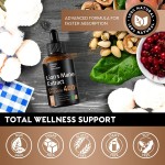 Private Label Package Pure Lion's Mane Mushroom Extract Drops 60ml Supports Focus and Memory Health  OEM Package