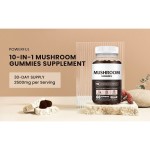 OEM Package Mushroom Gummies Supplements Complex 10 in 1 2500mg Mushrooms Gummiess with Lions Mane Reishi Mushroom for Memory