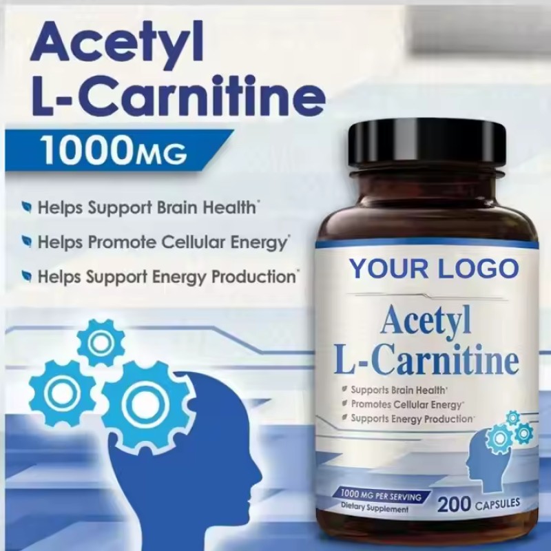 OEM Private Label Natural Acetyl L-carnitine Capsules Supplement