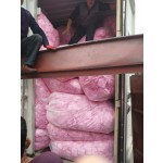 卫生巾工厂 - 可定制B级婴儿纸尿裤