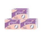 Sanitary Napkins Manufacturer - OEM Custom Natural Panity Liner Pads