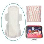 卫生巾生产商 - 可定制私有标签