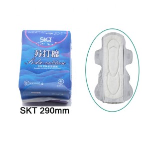 Sanitary Napkins Manufacturer - OEM Custom Korean Panty Liners Anion