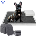Dog Training Pads Manufacturer - OEM Custom 5 Layer Leak Proof Pee Pads