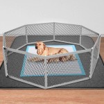 Pet Training Pads Factory - OEM Custom Thickened Disposable Urine Pads