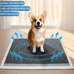 Dog Training Pads Factory - OEM Custom Bamboo Charcoal Pee Pads