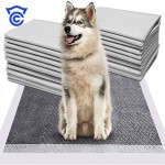 Pet Training Pads Manufacturer - OEM Custom Instantaneous Absorption Pee Pad