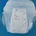 女性经期裤生产商 - 可定制一次性护垫内裤