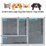 Dog Training Pads Manufacturer - OEM Custom 5 Layer Leak Proof Pee Pads