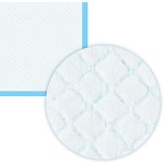 Pet Training Pads Factory - OEM Custom Waterproof Dog Training Pee Mat