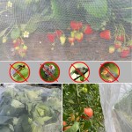 Insect Net Factory - Best Sale Agricultural Proof Netting