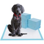 Pet Training Pad Manufacturer - Quick Dry Floral Scent