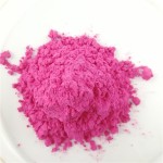 Holi Powder Manufacturer - Food Grade Squeeze Bottle