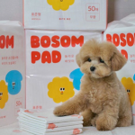 宠物训练垫工厂 - 新款竹炭40x60定制