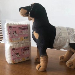 Pet Diaper Manufacturer - Private Label Disposable Wrap