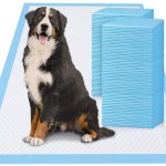 Pet Training Pad Factory - 2025 Hot Sale 6-layer Leak-proof