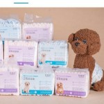 宠物纸尿裤批发 - 高品质10片柔软一次性