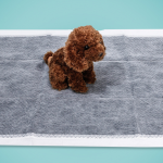 宠物训练垫生产厂家 - 可降解一次性尿垫