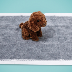 Pet Training Pad Manufacturer - Disposable Biodegradable Underpad